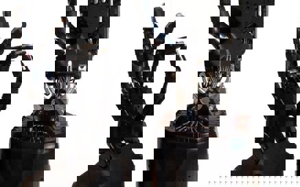 Roboterhände von Shadow Robot Company