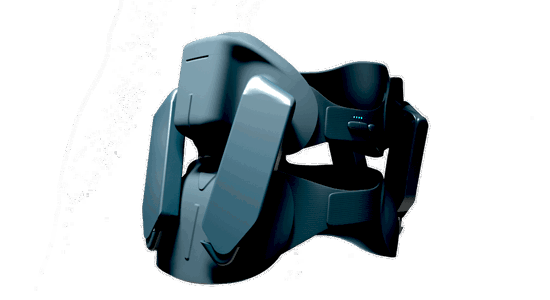 Japet exoskeleton