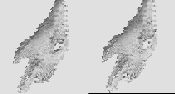 Estudio de caso Protolabs |  rinocerante Yxlon