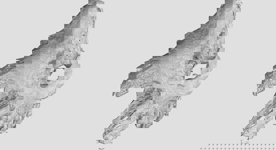 Protolabs estudio de caso | rinoceronte de Sumatra