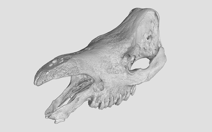 State-Of-The-Art Technologies Provide Researchers With New Insights