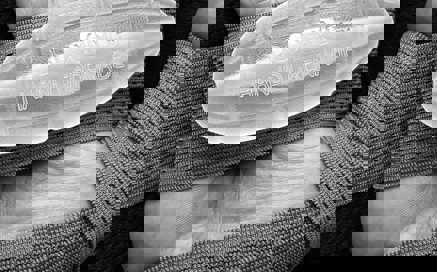 Dog & Bone art project created by Eli Castelli