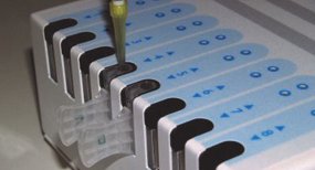 Highland Biosciences