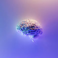 3D brain with purple background