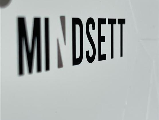 Etude de cas Mindsett