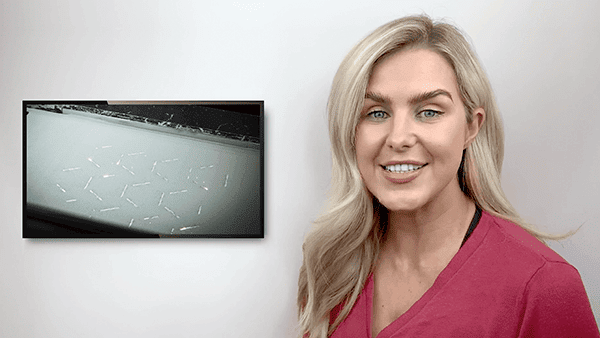 insight video dmls material selection