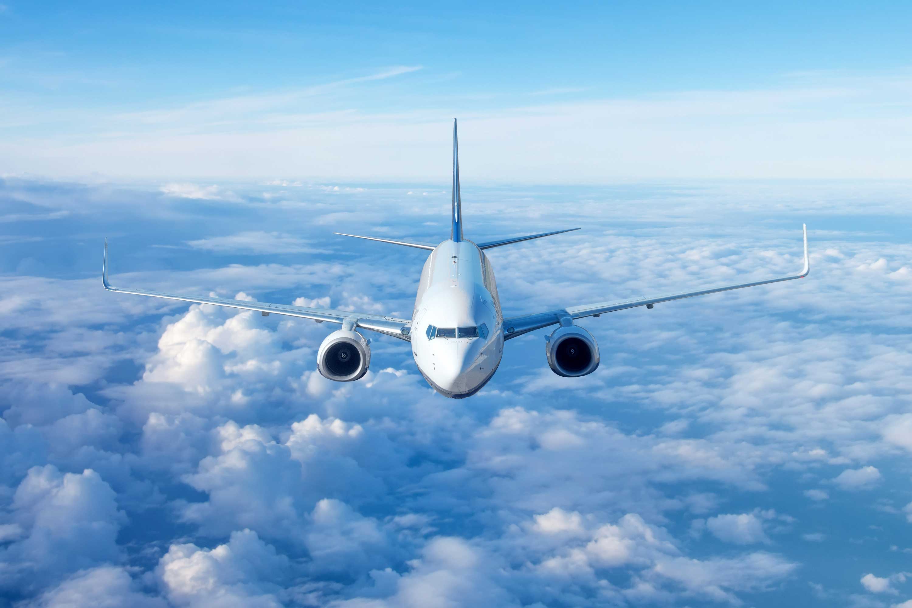plane in flight