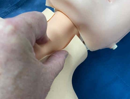 BASICS - Manufacturing for medical industry