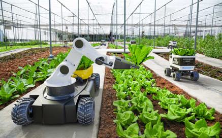 agriculture robots
