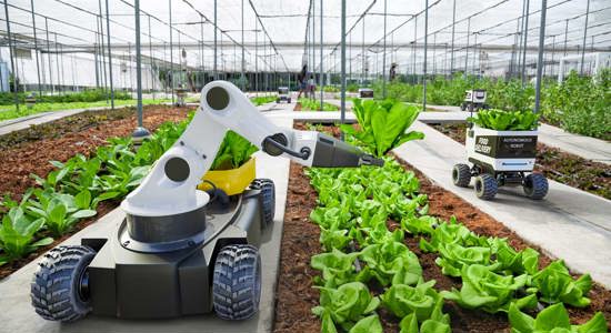 agriculture robots